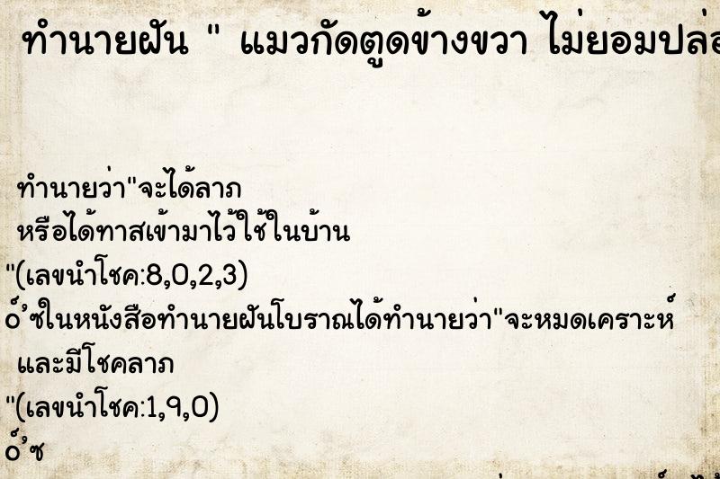 ทำนายฝันแมวกัดตูดข้างขวาไม่ยอมปล่อยเจ็บมากกก ทำนายฝันทำนายฝันแมวกัดตูดข้างขวาไม่ยอมปล่อยเจ็บมากกก